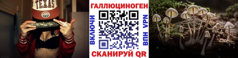 Псилоцибиновые грибы Psilocybine cubensis  MEGA маркетплейс  Казань 
